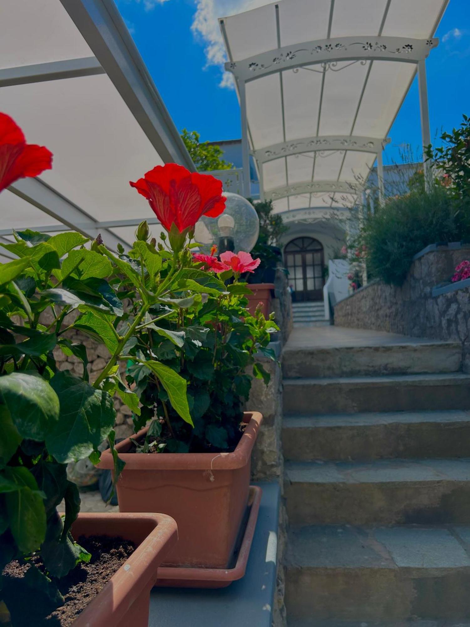 Capri Melody Bed & Breakfast Anacapri  Luaran gambar
